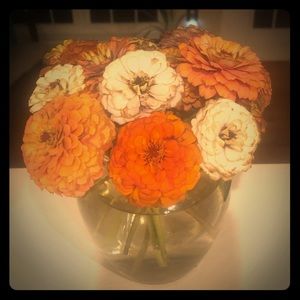 Meet your Posher, Heather